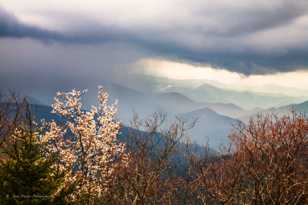 Storm in the Smokies-9031.jpg